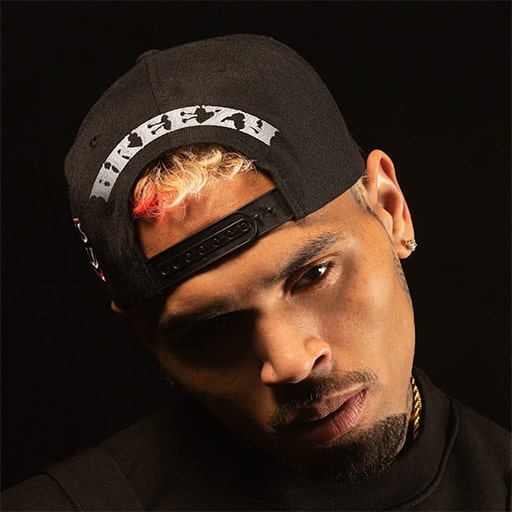 Chris Brown Concerts in Orlando